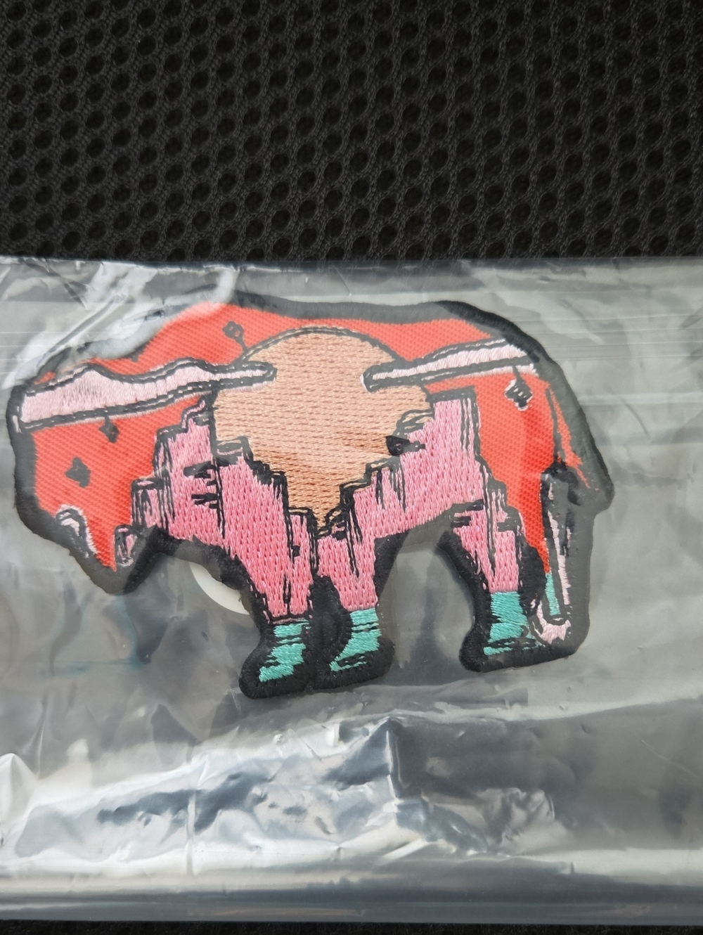 Patch Colorful Iron On Buffalo